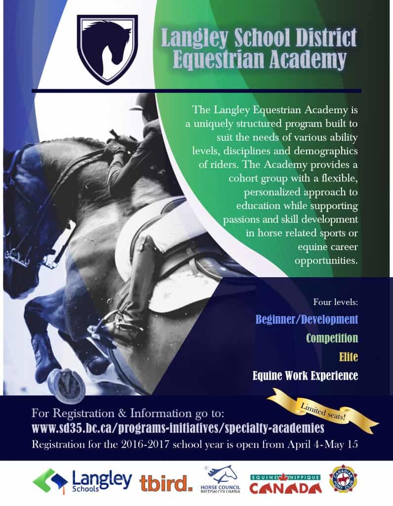 Langley Equestrian Flyer 3-01-1