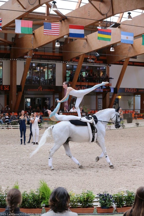 FEI World Vaulting Championships Horse Council BC