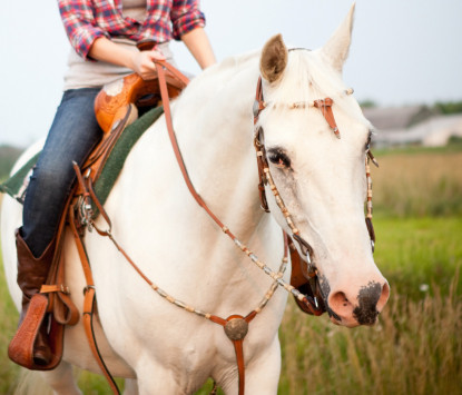 iStock_000013983842Medium_edited